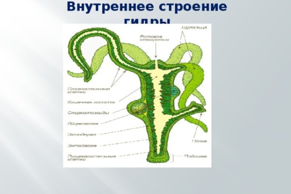 Как закачать фото на блэкспрут